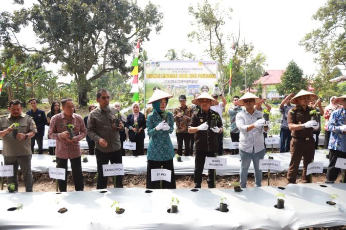 Wakil Wali Kota Pontianak Bahasan bersama TPID Kuponwah menanam cabai serentak di Pontianak sebagai upaya menekan inflasi pangan