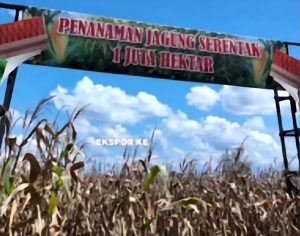 Sumber : Majalah Senta